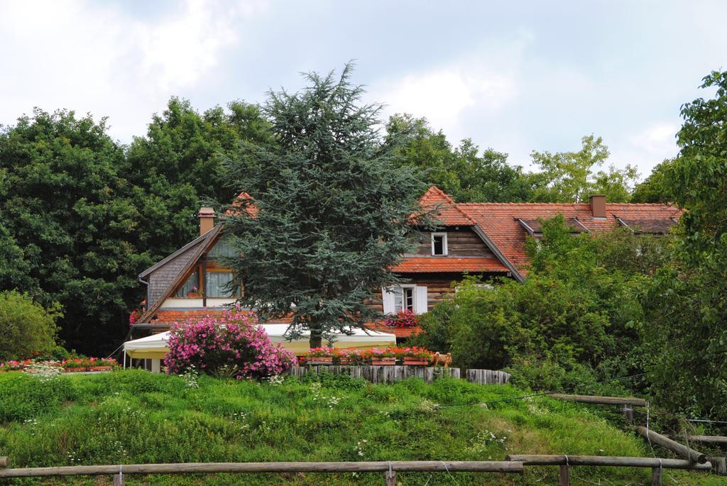 Bed and Breakfast Le Neufeld Oberhaslach Экстерьер фото