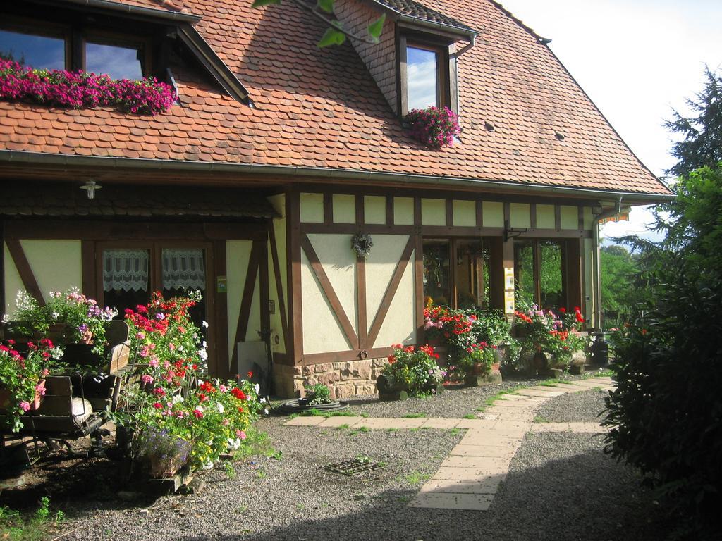 Bed and Breakfast Le Neufeld Oberhaslach Экстерьер фото