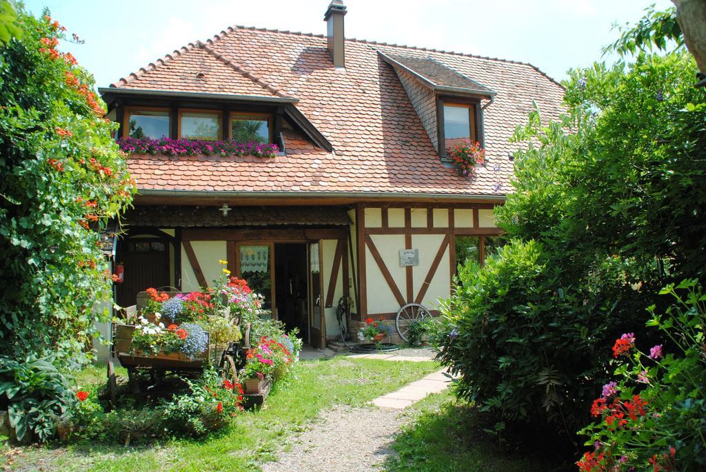 Bed and Breakfast Le Neufeld Oberhaslach Экстерьер фото
