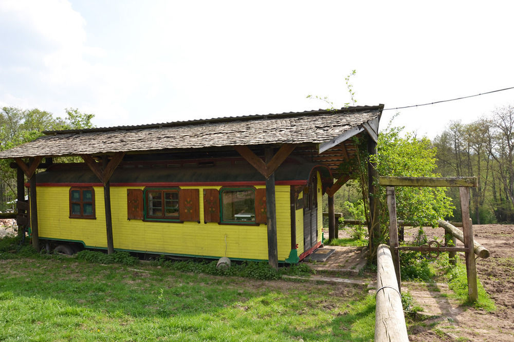 Bed and Breakfast Le Neufeld Oberhaslach Экстерьер фото