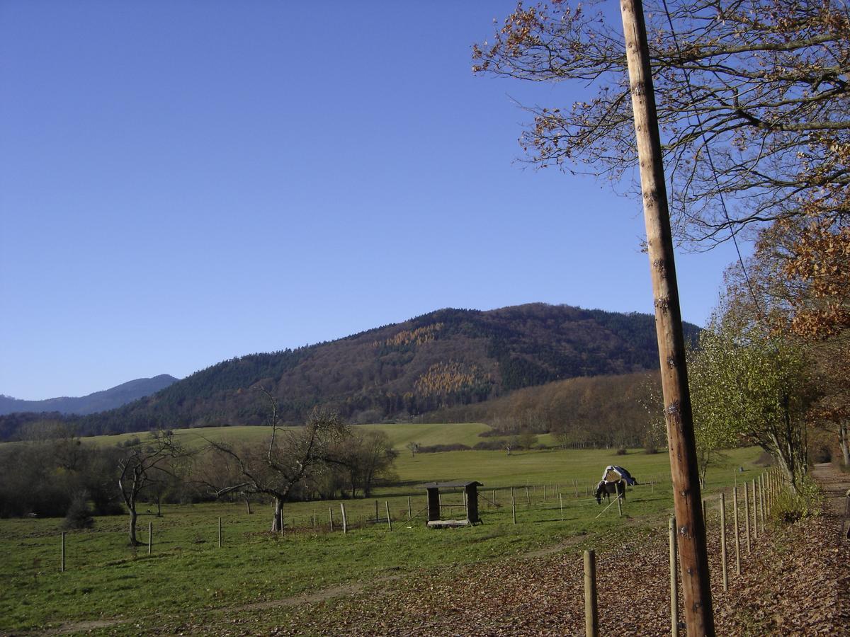 Bed and Breakfast Le Neufeld Oberhaslach Экстерьер фото